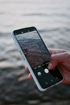 bầu cua di động New88